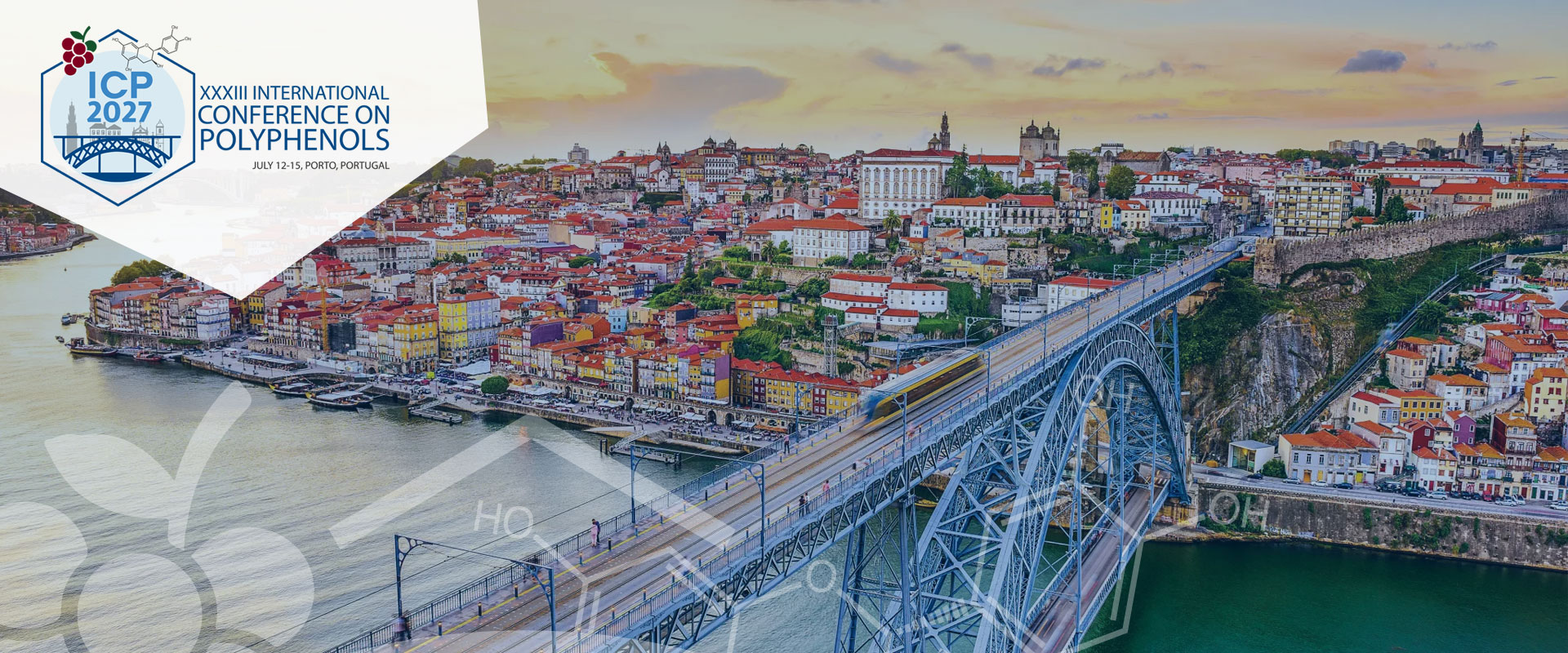 ICP2027-banner-4